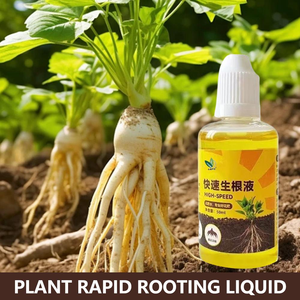 Grüne Pflanze Wurzel Stimulato – Root Stimulator Liquid Bewertung und Preis
