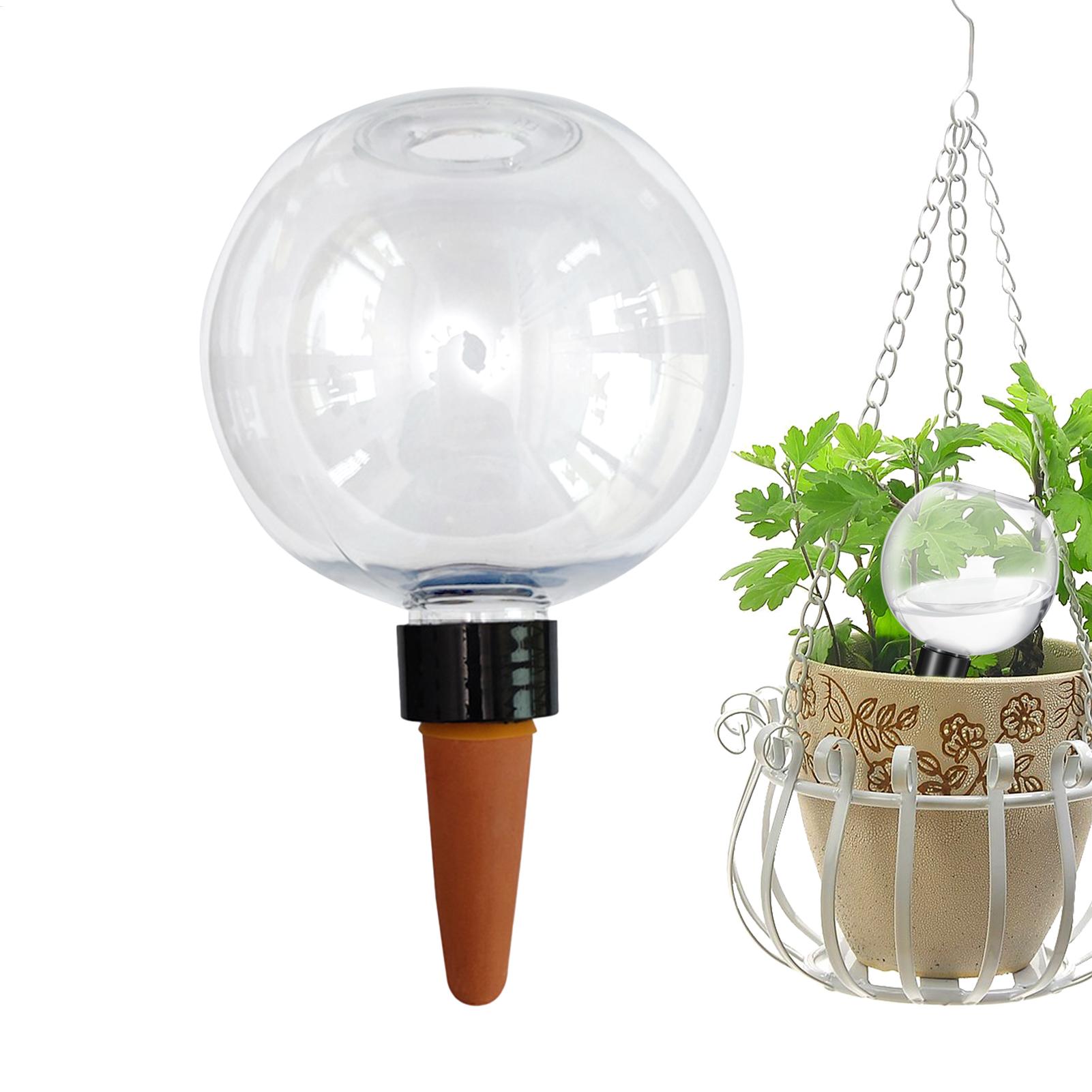 500 ml automatische Pflanzenbe – Self Watering Insert Bewertung und Preis